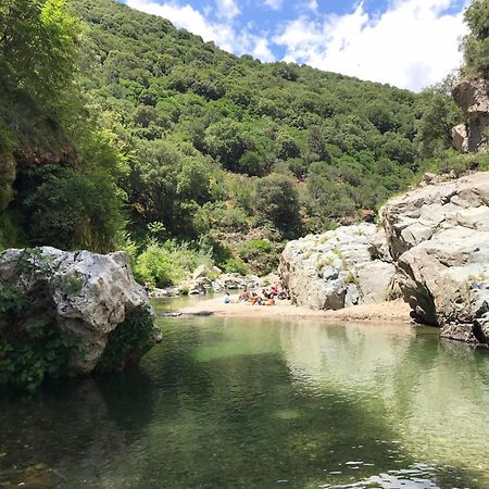 New! La Ginestra,Casa Vacanze Bifamiliare In Montagna-Seulo Sardegna Exterior foto