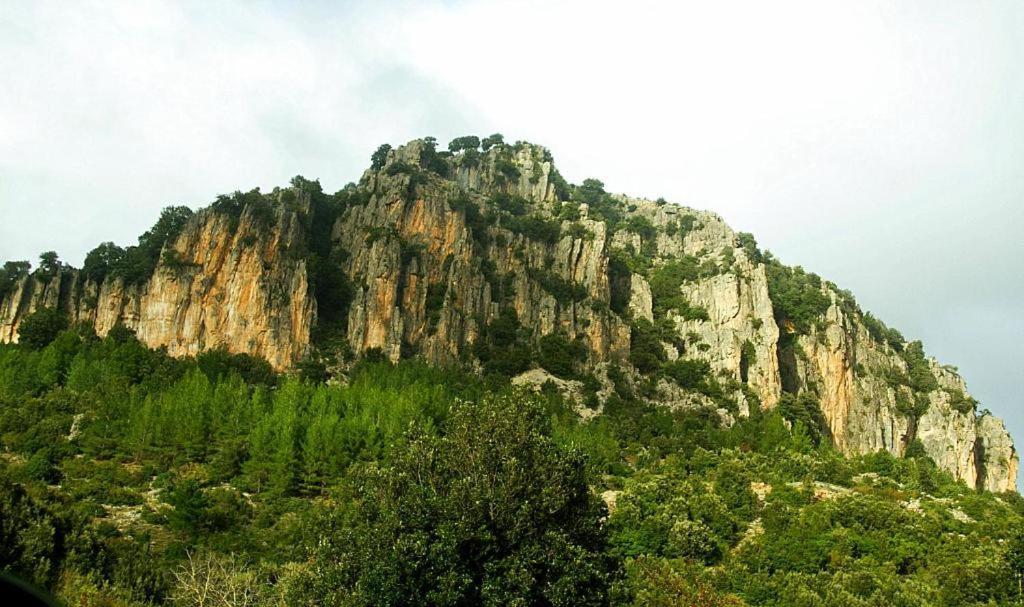 New! La Ginestra,Casa Vacanze Bifamiliare In Montagna-Seulo Sardegna Exterior foto