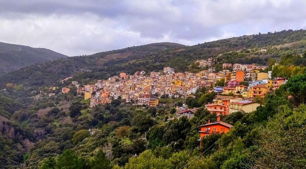 New! La Ginestra,Casa Vacanze Bifamiliare In Montagna-Seulo Sardegna Exterior foto