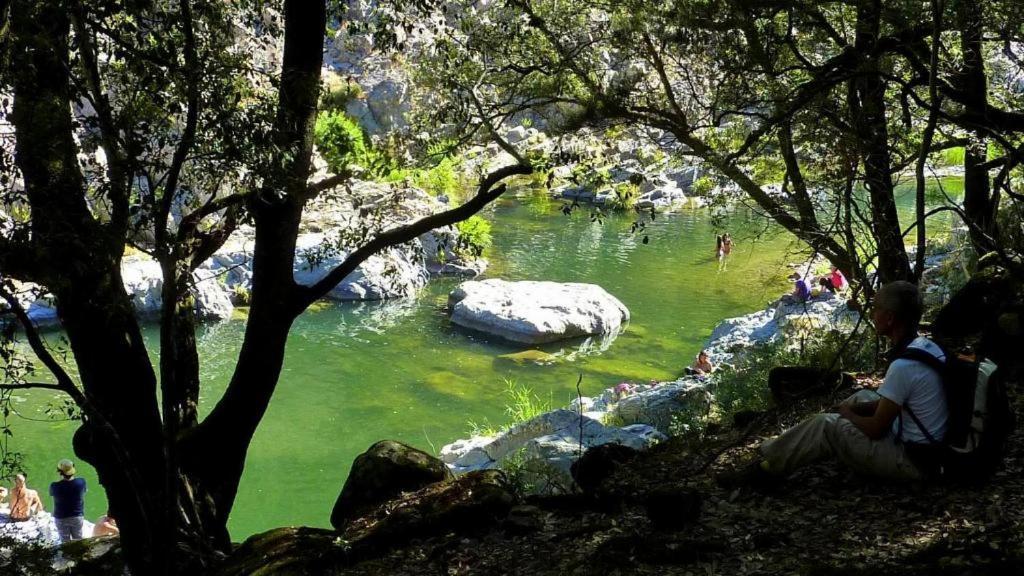 New! La Ginestra,Casa Vacanze Bifamiliare In Montagna-Seulo Sardegna Exterior foto