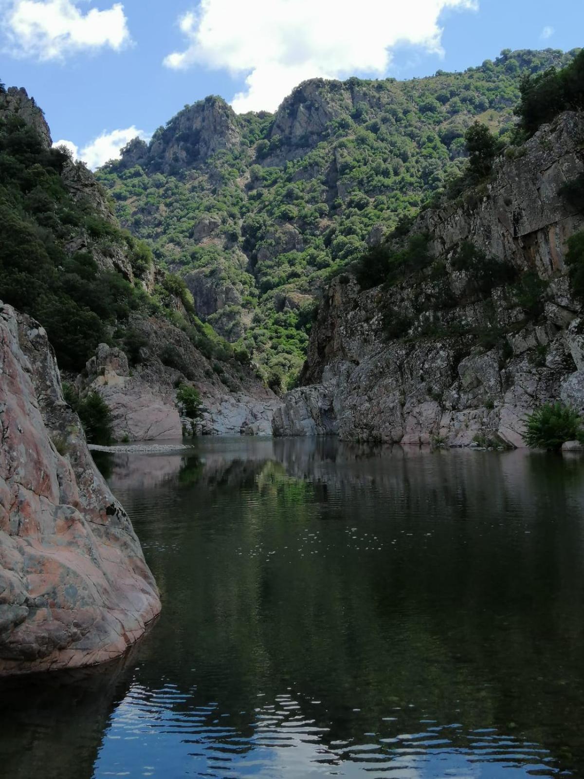 New! La Ginestra,Casa Vacanze Bifamiliare In Montagna-Seulo Sardegna Exterior foto